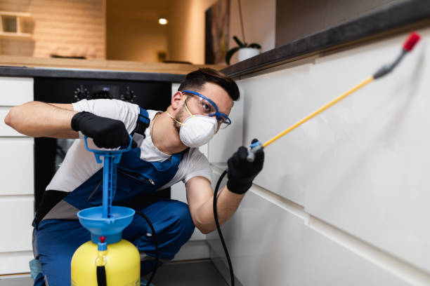Best Cockroach Control Services  in St Matthews, SC