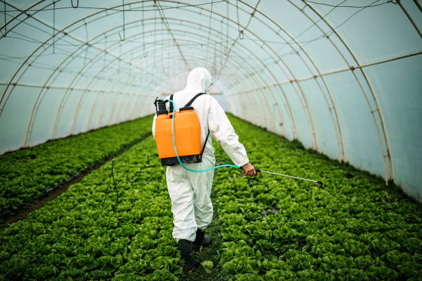 Best Residential Pest Control  in St Matthews, SC