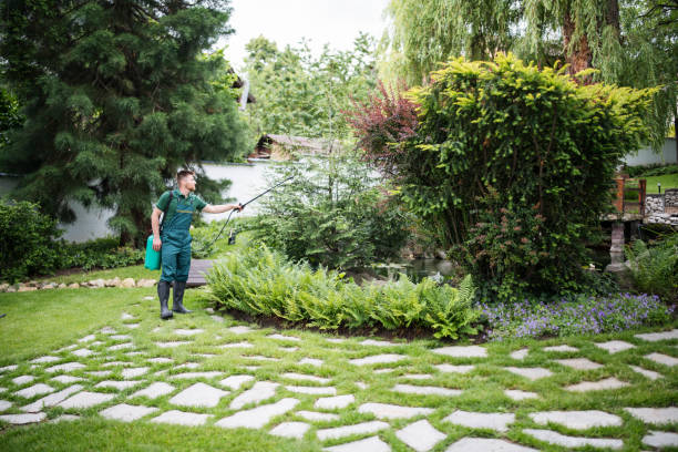 Best Pest Removal Services  in St Matthews, SC