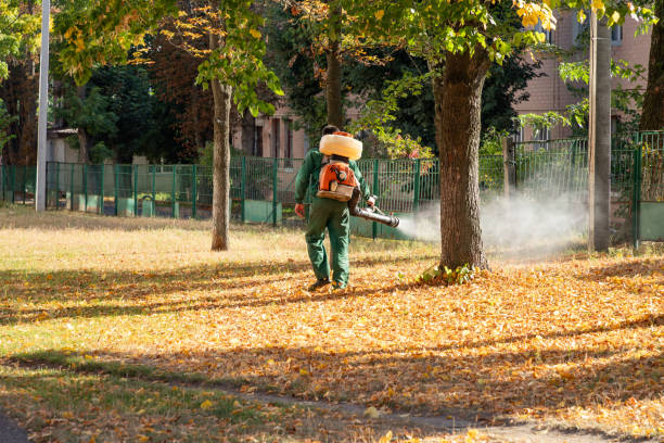St Matthews, SC Pest Control Company